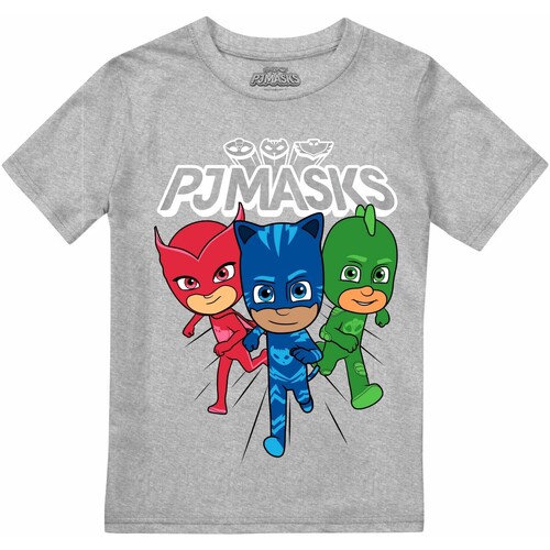 Abbigliamento Bambino T-shirts a maniche lunghe Pj Masks Heroes Trio Grigio