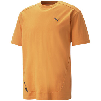 Abbigliamento Uomo T-shirt & Polo Puma 673316-30 Arancio