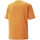 Abbigliamento Uomo T-shirt & Polo Puma 673316-30 Arancio