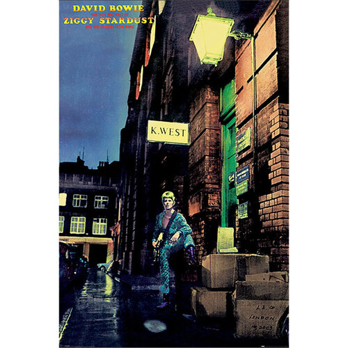 Casa Poster David Bowie TA11361 Multicolore