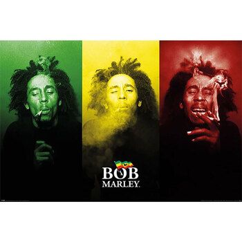 Casa Poster Bob Marley TA11363 Multicolore