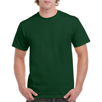 Abbigliamento Uomo T-shirts a maniche lunghe Gildan Hammer H000 Verde