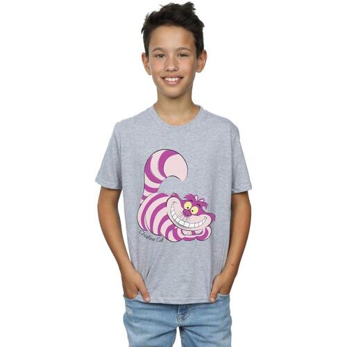 Abbigliamento Bambino T-shirt maniche corte Disney Alice In Wonderland Cheshire Cat Grigio