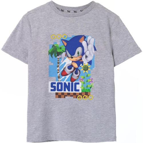Abbigliamento Unisex bambino T-shirt maniche corte Sonic The Hedgehog NS7484 Grigio