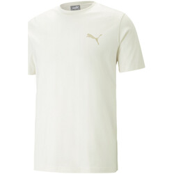 Abbigliamento Uomo T-shirt & Polo Puma 673296-99 Beige