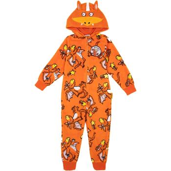 Abbigliamento Unisex bambino Pigiami / camicie da notte The Gruffalo NS7482 Arancio
