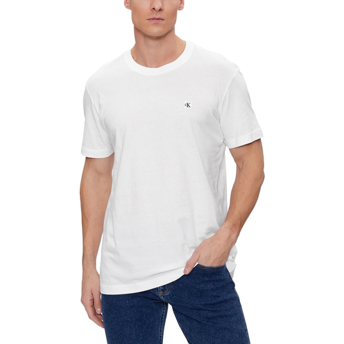 Abbigliamento Uomo Polo maniche lunghe Calvin Klein Jeans J30J325268 Bianco