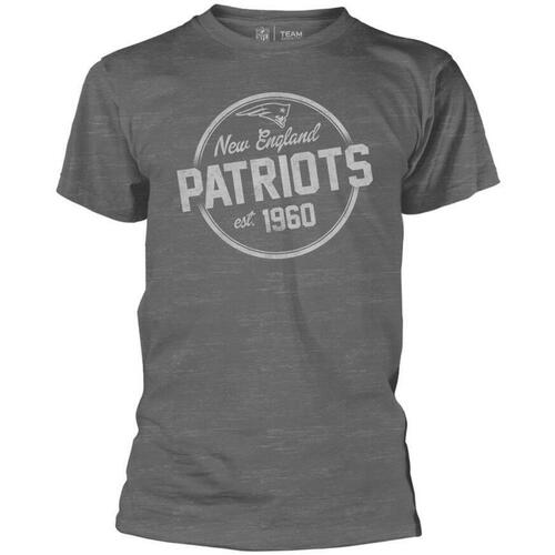 Abbigliamento T-shirts a maniche lunghe Nfl New England Patriots Grigio