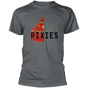Abbigliamento T-shirts a maniche lunghe Pixies Head Carrier Grigio