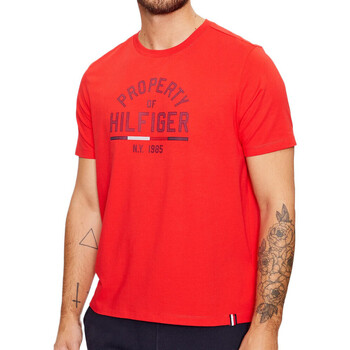 Abbigliamento Uomo T-shirt & Polo Tommy Hilfiger MW0MW32641 Rosso