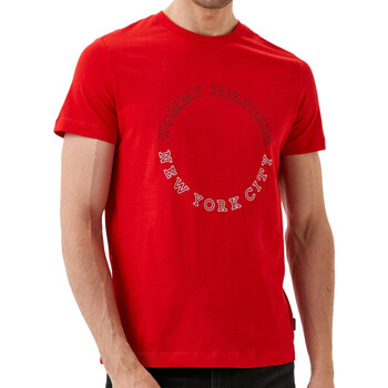 Abbigliamento Uomo T-shirt & Polo Tommy Hilfiger MW0MW32602 Rosso
