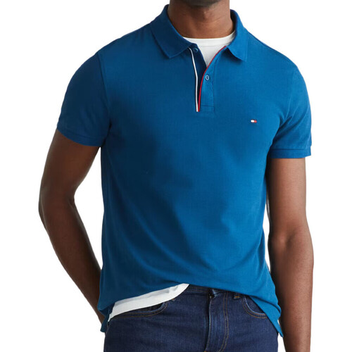 Abbigliamento Uomo T-shirt & Polo Tommy Hilfiger MW0MW33268 Blu