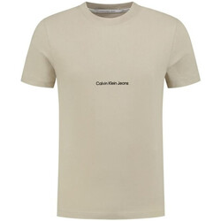 Abbigliamento Uomo T-shirt & Polo Calvin Klein Jeans J30J322848 Grigio