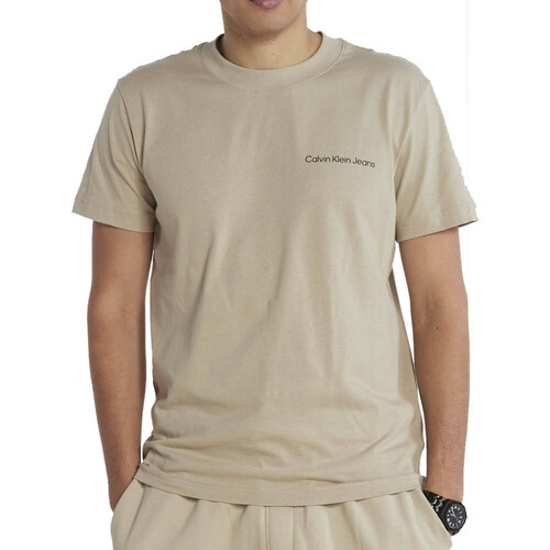 Abbigliamento Uomo T-shirt & Polo Calvin Klein Jeans J30J323993 Beige