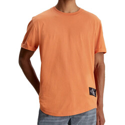 Abbigliamento Uomo T-shirt & Polo Calvin Klein Jeans J30J323482 Arancio