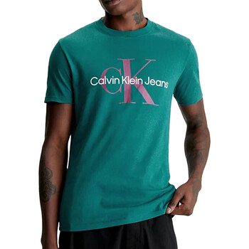 Abbigliamento Uomo T-shirt & Polo Calvin Klein Jeans J30J320806 Verde