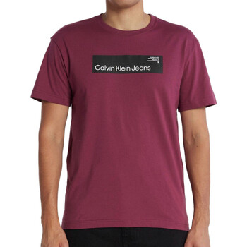 Abbigliamento Uomo T-shirt maniche corte Calvin Klein Jeans J30J324018 Viola