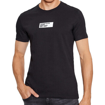 Abbigliamento Uomo T-shirt & Polo Calvin Klein Jeans J30J324027 Nero
