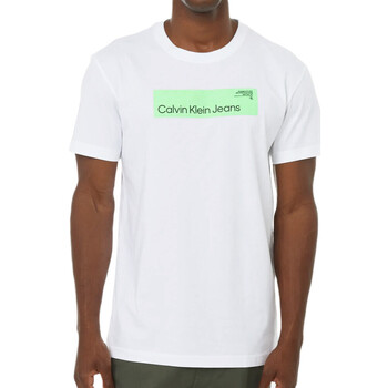 Abbigliamento Uomo T-shirt maniche corte Calvin Klein Jeans J30J324018 Bianco