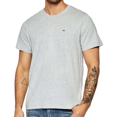 Abbigliamento Uomo T-shirt & Polo Tommy Hilfiger DM0DM09598 Grigio