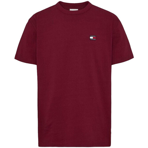Abbigliamento Uomo T-shirt & Polo Tommy Hilfiger DM0DM17870 Rosso