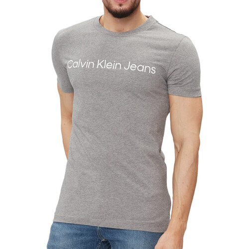 Abbigliamento Uomo T-shirt maniche corte Calvin Klein Jeans J30J322552 Grigio
