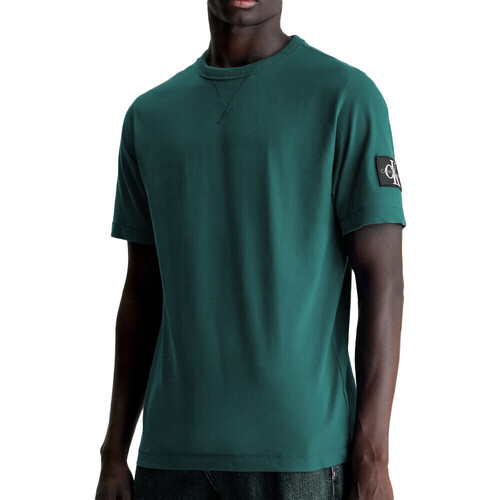 Abbigliamento Uomo T-shirt & Polo Calvin Klein Jeans J30J323484 Verde