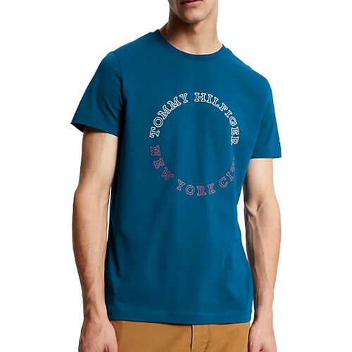 Abbigliamento Uomo T-shirt & Polo Tommy Hilfiger MW0MW32602 Blu