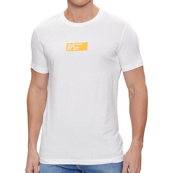 Abbigliamento Uomo T-shirt & Polo Calvin Klein Jeans J30J324027 Bianco