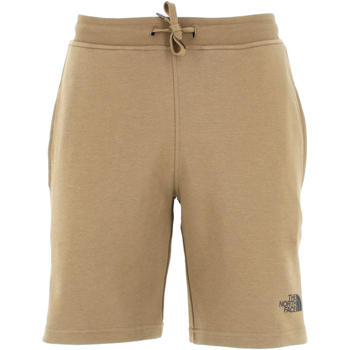 Abbigliamento Uomo Shorts / Bermuda The North Face uomo pantaloncino NF0A3S4F37U1 M GRAPHIC SHORT LIGT Verde