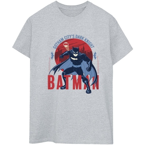 Abbigliamento Donna T-shirts a maniche lunghe Dc Comics Batman Gotham City Grigio