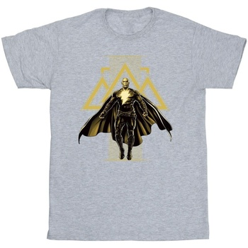 Abbigliamento Uomo T-shirts a maniche lunghe Dc Comics Black Adam Rising Golden Symbols Grigio