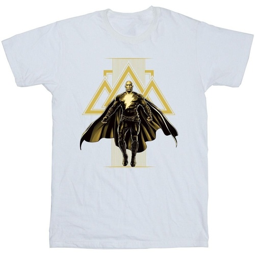 Abbigliamento Uomo T-shirts a maniche lunghe Dc Comics Black Adam Rising Golden Symbols Bianco