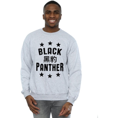 Abbigliamento Uomo Felpe Marvel Black Panther Legends Grigio