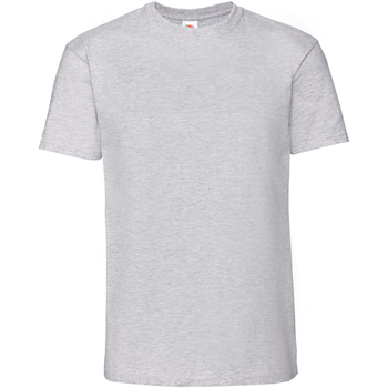Abbigliamento Uomo T-shirts a maniche lunghe Fruit Of The Loom Iconic Premium Grigio