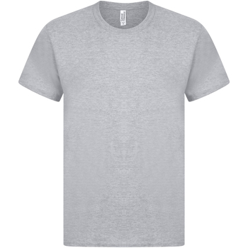 Abbigliamento Uomo T-shirts a maniche lunghe Casual Classics AB569 Grigio