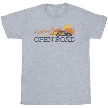 Abbigliamento Uomo T-shirts a maniche lunghe Disney Cars Explore The Open Road Grigio