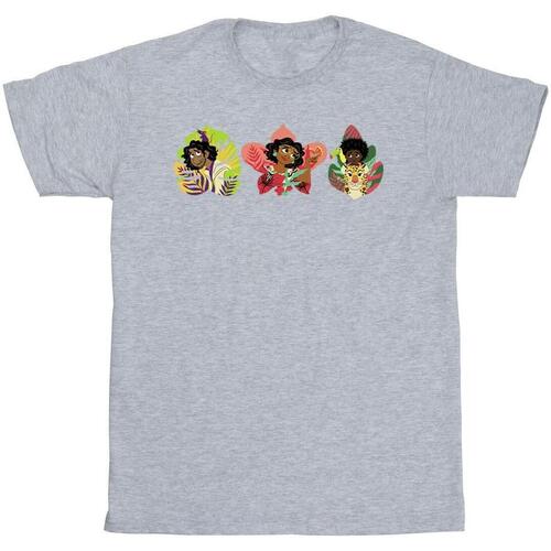 Abbigliamento Bambina T-shirts a maniche lunghe Disney Encanto Family Line Grigio