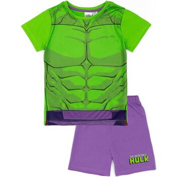 Abbigliamento Bambino Pigiami / camicie da notte Hulk NS7563 Verde