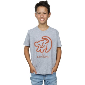 Abbigliamento Bambino T-shirt maniche corte Disney The Lion King Cave Drawing Grigio