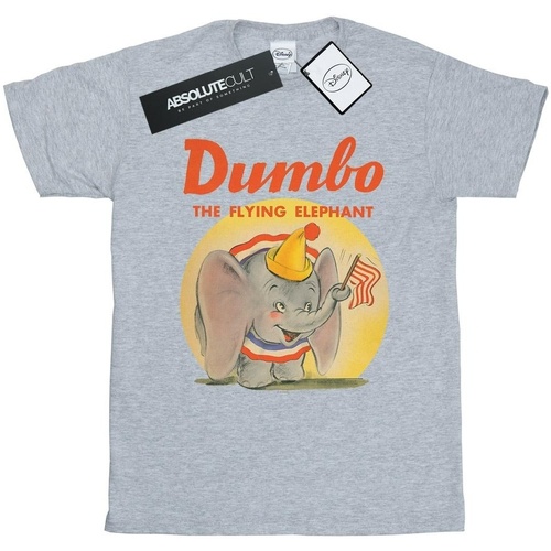 Abbigliamento Bambina T-shirts a maniche lunghe Disney Dumbo Flying Elephant Grigio