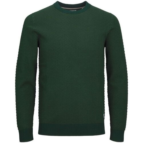 Abbigliamento Uomo Maglioni Jack & Jones 12212816 ATLAS-MOUNTAIN VIEW Verde