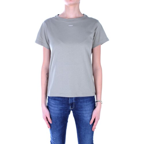 Abbigliamento Donna T-shirt maniche corte Pinko 100373 A1N8 Verde