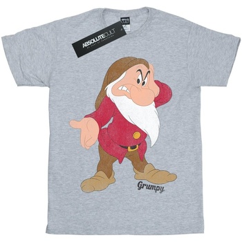 Abbigliamento Bambina T-shirts a maniche lunghe Disney Snow White And The Seven Dwarves Classic Grumpy Grigio