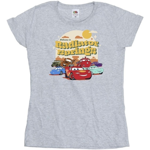 Abbigliamento Donna T-shirts a maniche lunghe Disney Cars Radiator Springs Group Grigio