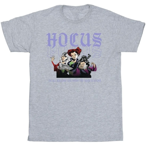 Abbigliamento Bambina T-shirts a maniche lunghe Disney Hocus Pocus Hallows Eve Grigio