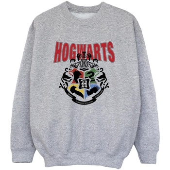 Abbigliamento Bambino Felpe Harry Potter Hogwarts Emblem Grigio