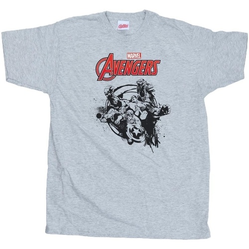 Abbigliamento Bambino T-shirt maniche corte Marvel Avengers Team Burst Grigio