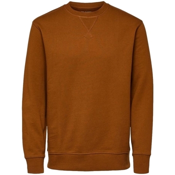 Abbigliamento Uomo Felpe Selected Noos Sweatshirt Jason 340 - Monks Robe Marrone