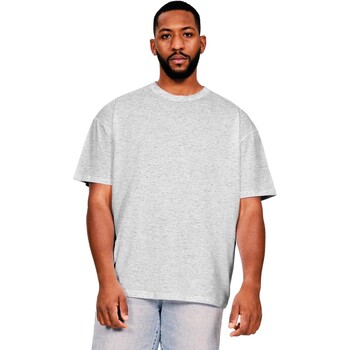 Abbigliamento Uomo T-shirts a maniche lunghe Casual Classics Core Grigio